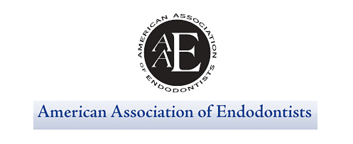 AAE認定インターナショナルメンバー：AAE International Membership